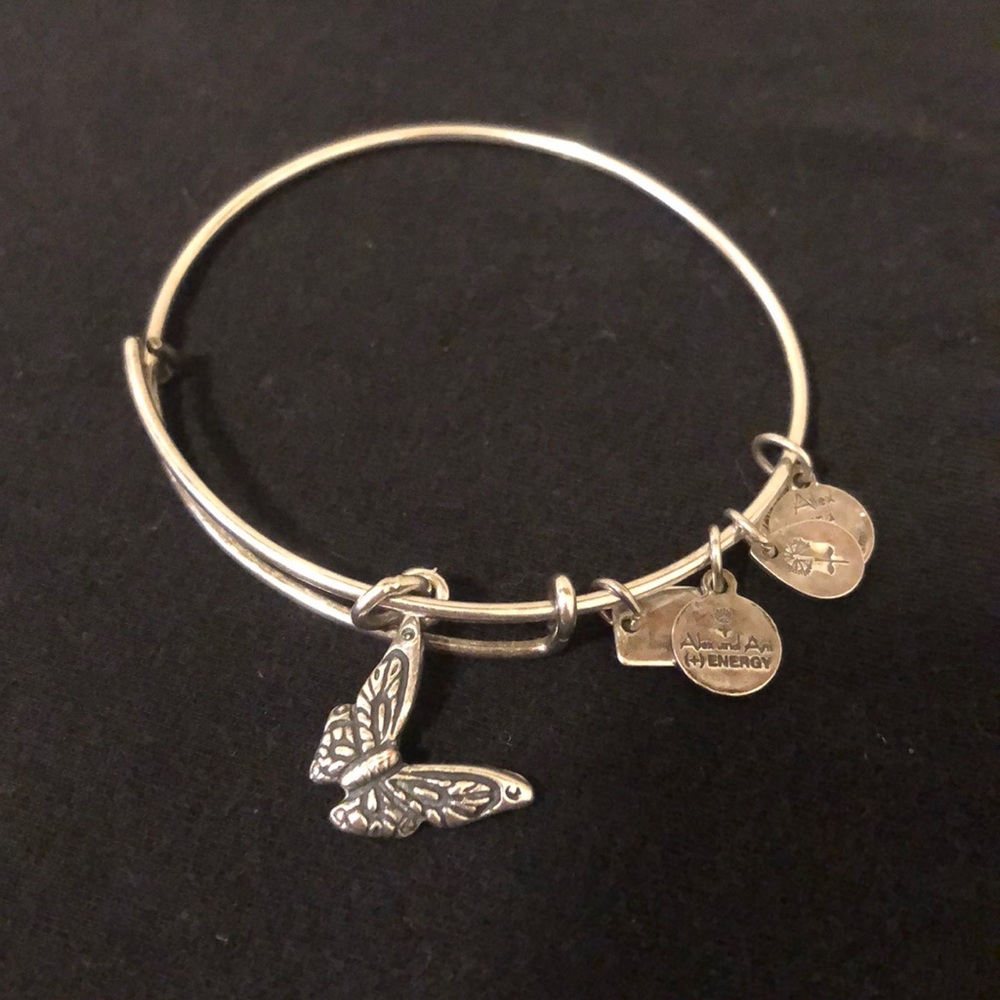 🦋Alex and Ani 🦋 Charm Bracelet